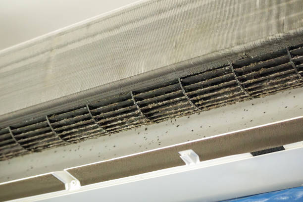 Best Air Duct Cleaning Near Me  in East San Gabriel, CA